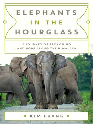 cover image of Elephants in the Hourglass